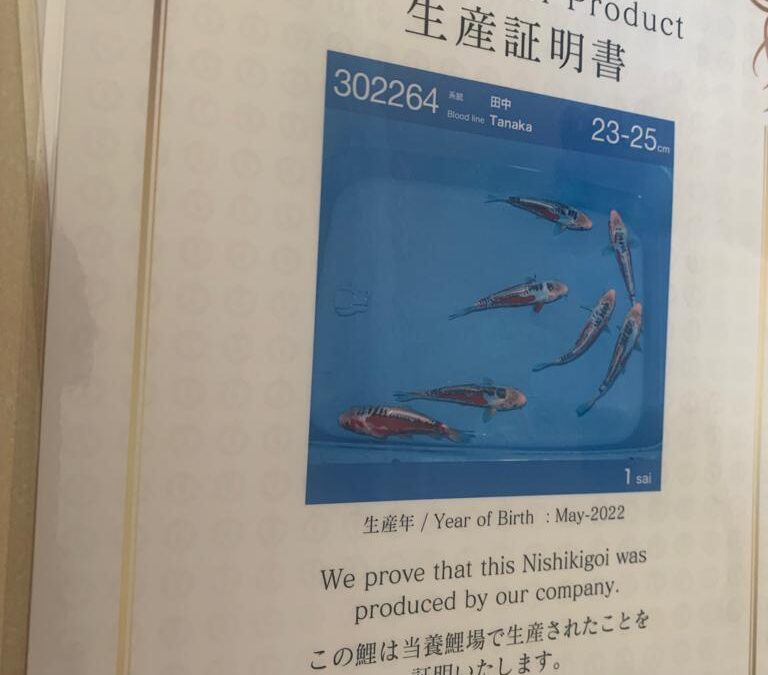 23-25cm May 2022